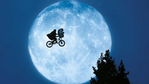 Halle E.T October 2022