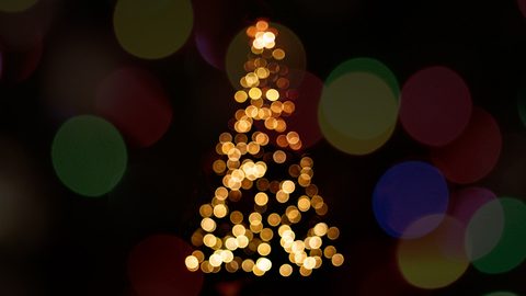 The Hallé – Carol Concerts Saturday 13 & Sunday 14 December 2025