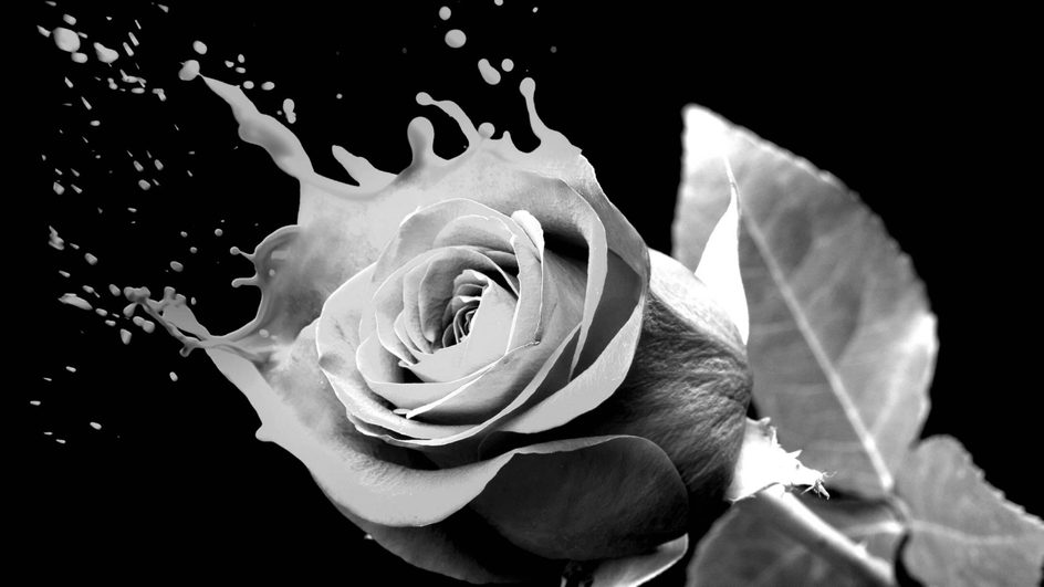 BBC Philharmonic - Romeo & Juliet | Saturday 21 February 2026