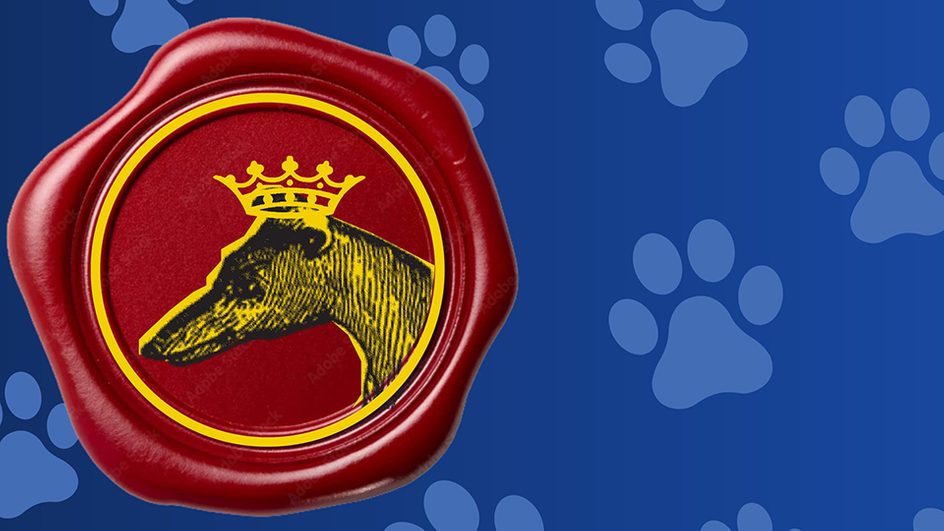 Halle - offenbach Barkouf opera